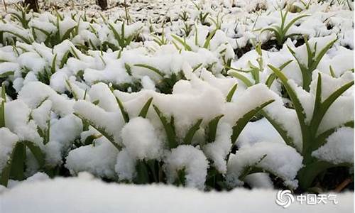 甘南·碌曲天气_碌曲天气预报15天天气