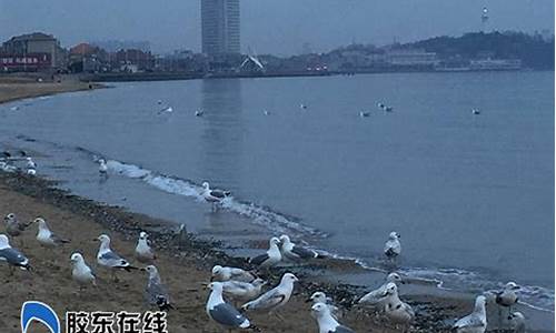 烟台海边天气预报_烟台海域天气预报