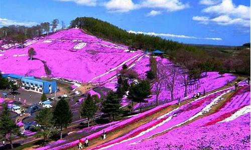 十一月北海道天气情况_十一月北海道天气