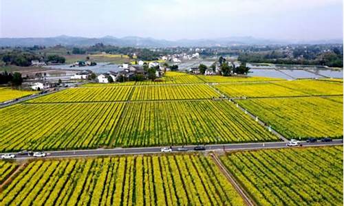 广安花桥天气预报_隐隐作痛怎么写