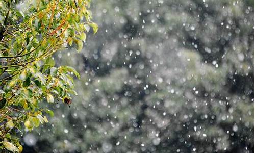 雨夹雪用天气符号怎么表示_雨夹雪天气怎么写